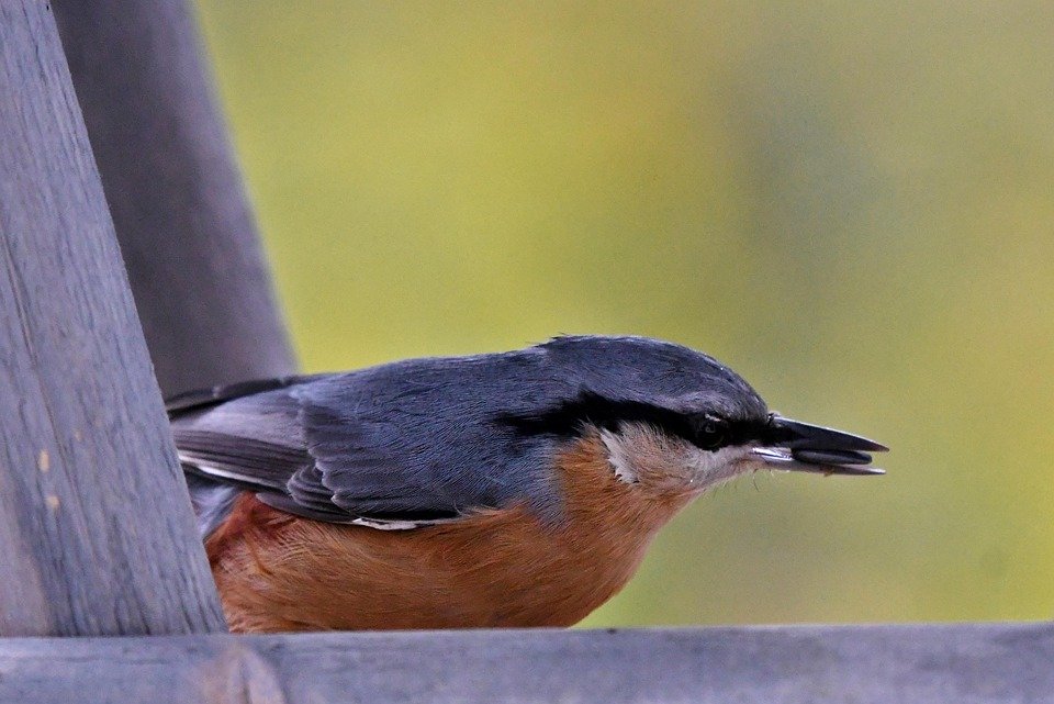 Review Lengkap: AISYAH HOMES Penyembur Kasut Untuk Bau Yang Degil