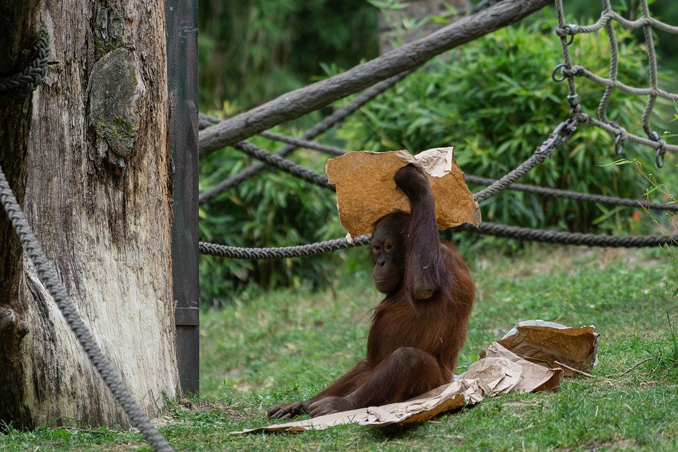 Rahsia Orang Berjaya Tidur Lena: YOVONINE