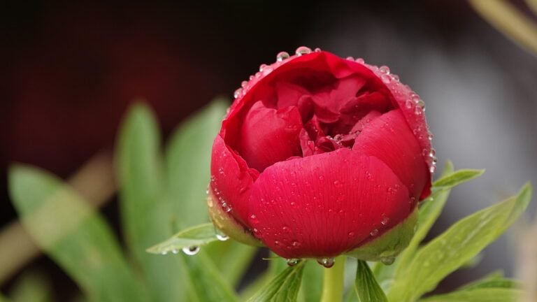 Rahsia Kasut Wangi Walau Dengan Pemakaian Berterusan.