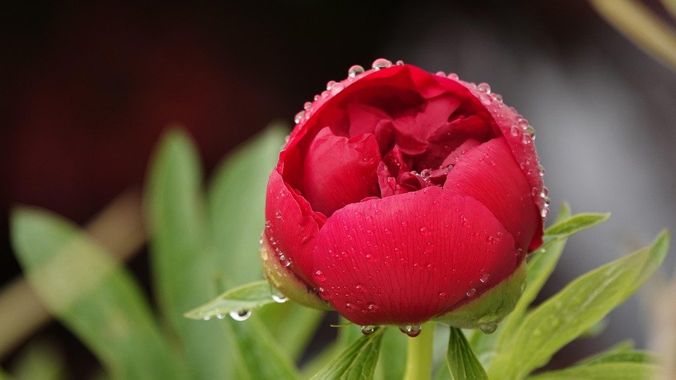 Rahsia Kasut Wangi Walau Dengan Pemakaian Berterusan.