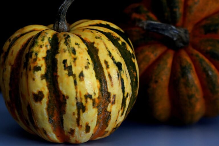 5 Alasan Anda Perlu Memiliki Printer Thermal Bluetooth A6 Ini