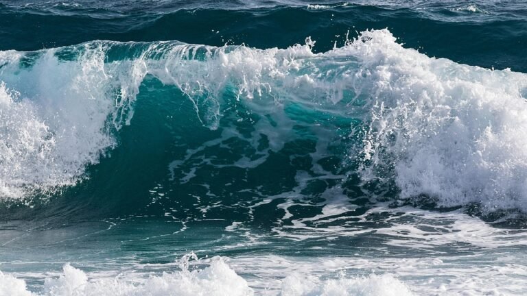 Spray Anti-Bau Kasut Untuk Kehidupan Lebih Selesa.