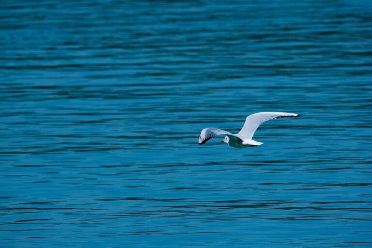 Tips Menjaga Kebersihan Kaki Dengan Mudah & Cepat.