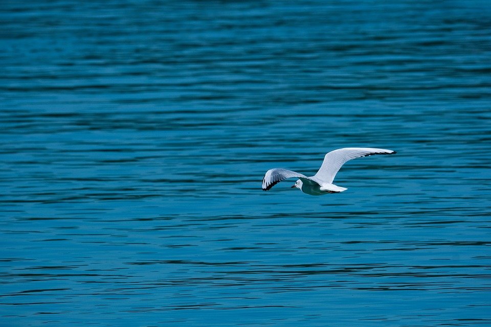 Tips Menjaga Kebersihan Kaki Dengan Mudah & Cepat.