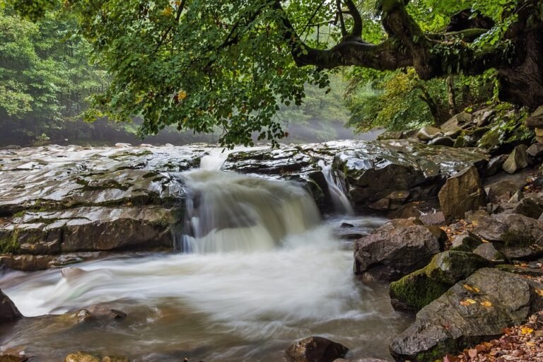 Semburan Kasut AISYAH HOMES: Pilihan Bijak Untuk Pengguna Moden