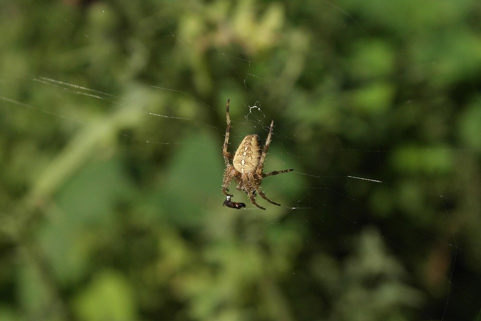 Mengapa Kingston Pendrive OTG Menjadi Pilihan Ramai?
