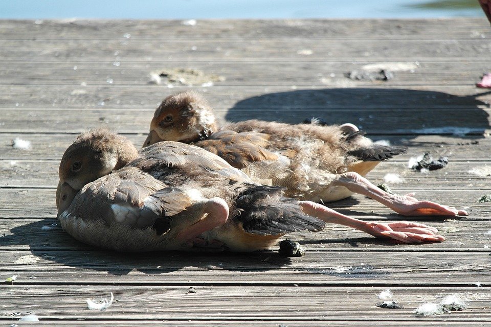Mengapa Tilam Angin Portable WTHB Jadi Pilihan Ramai?