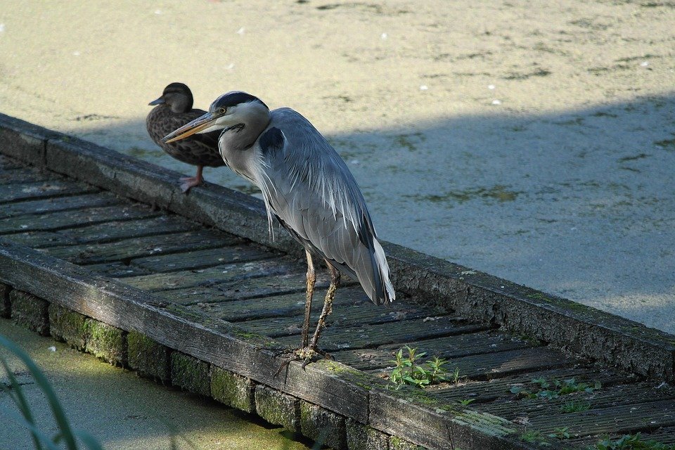 Mengapa Setiap Wanita Perlu Set Baju Muslimah Zahra Ironless CEY?