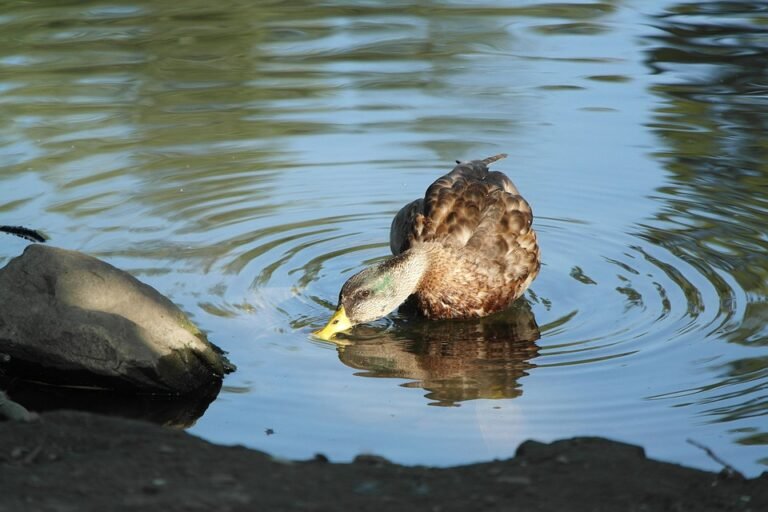 Review ZEKE A0028: Mengapa Ia Perlu Ada Dalam Almari Anda?