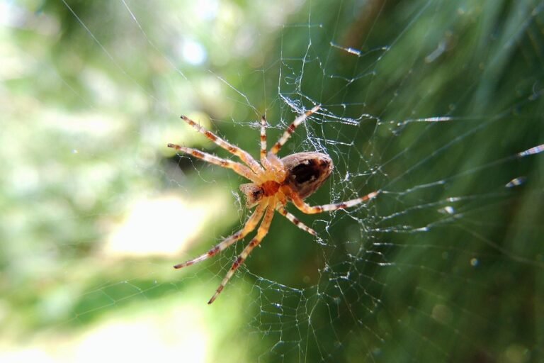 Mengapa YOVONINE Diiktiraf Sebagai Earphone Tidur Terbaik?