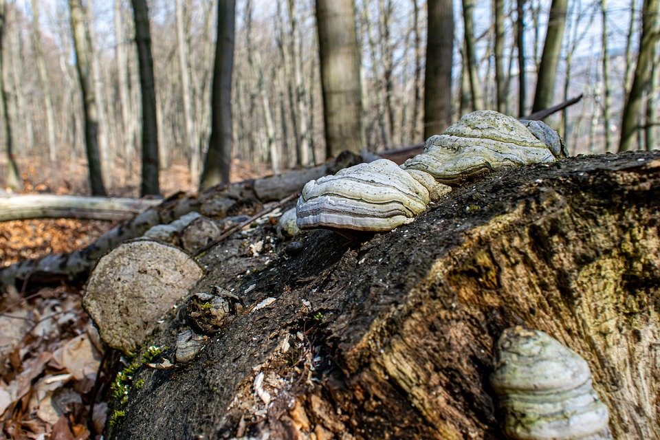 Alami Keselesaan Maksimum Dengan Soft-Soled Sneakers Ini.