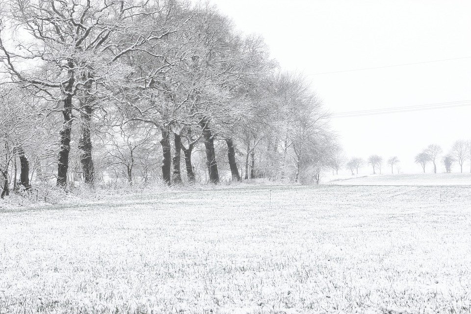Semburan Kasut Ajaib: Memastikan Kaki Anda Sentiasa Wangi.