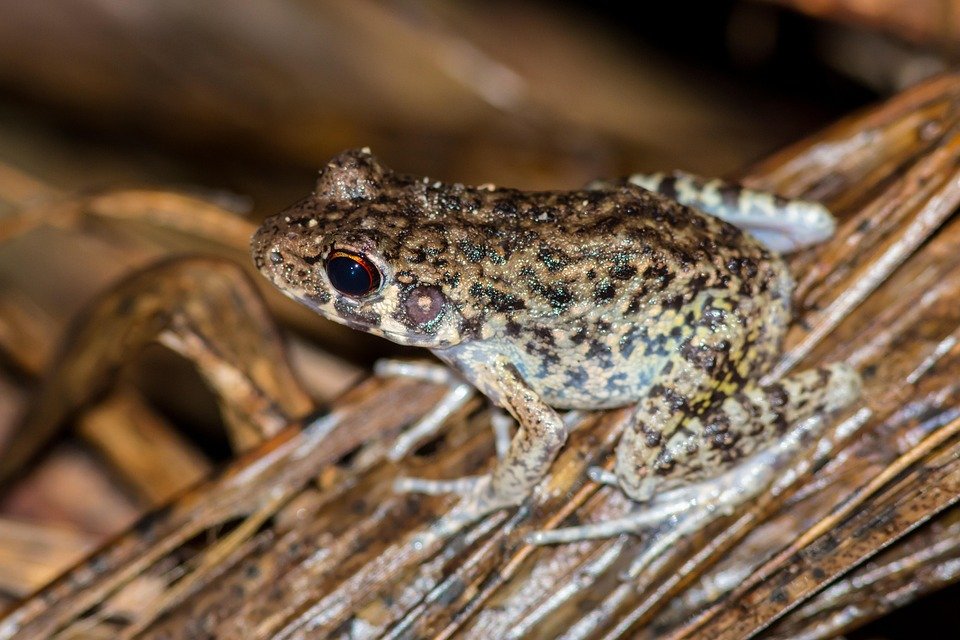 WOW SPAGHETTI HALAL INSTANT: Alternatif Sihat Untuk Makanan Segera Lain.