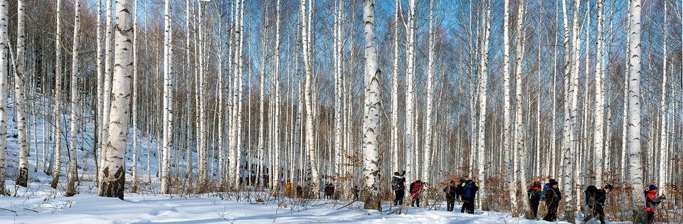 Kingston Pendrive Original: Jaminan Prestasi dan Ketahanan