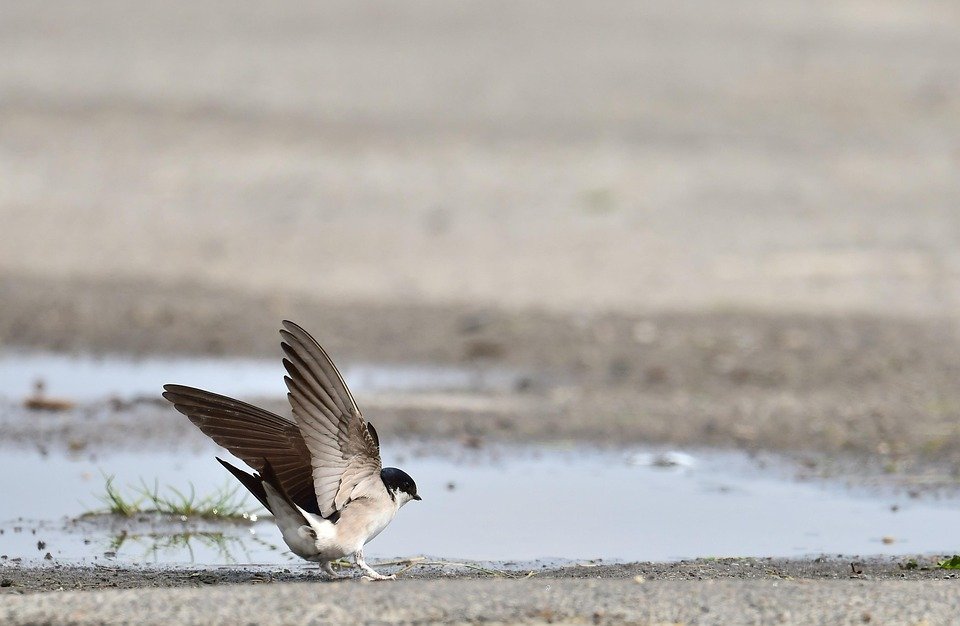 But Martin Lelaki Tinggi Pendek: Fesyen yang Membuat Anda Tampil Berani