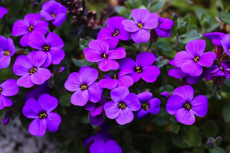 Review Glad2Glow Cushion: Pilihan Cerdas untuk Penampilan Harian.