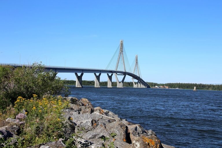 Pori Besar Sudah Tidak Ada Lagi Dengan Zero Pore Pad 2.0.