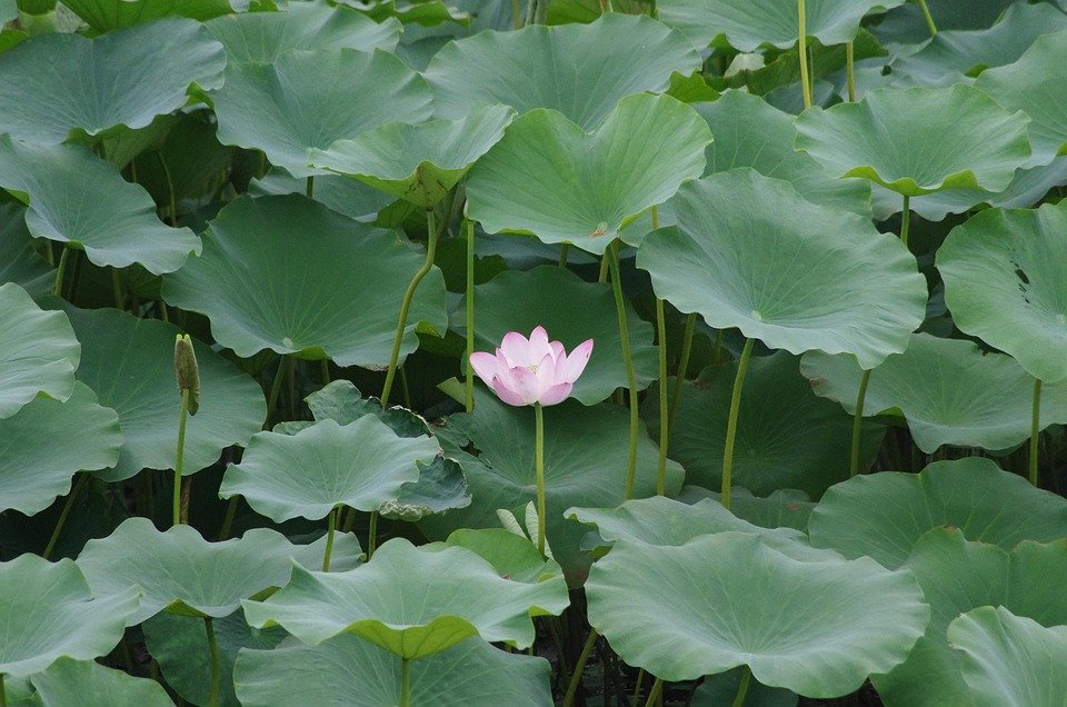 Keropok Lekor Gotel Vakum RM1: Snek Yang Sentiasa Membawa Pengalaman Rasa Yang Tiada Tandingannya Dan Tak Terlupakan.