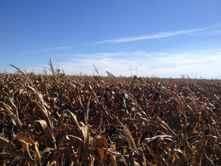 Rahsia Cadar B.S.B 4-in-1 King Anti Kedut Dan Mudah Basuh.