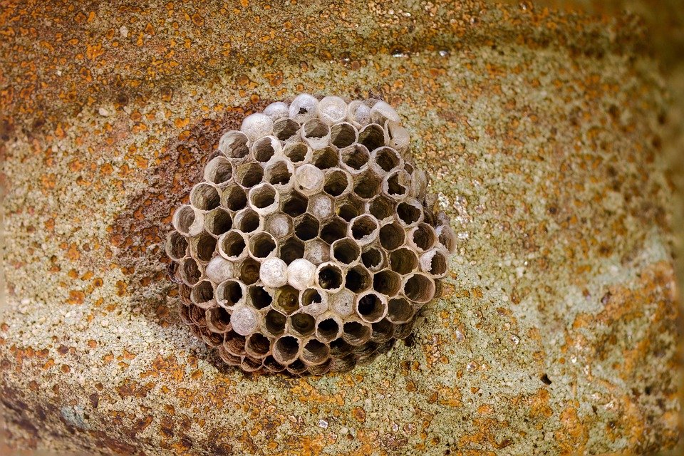 Masaki Honeycomb Wok: Kuali Yang Akan Menemani Anda Bertahun-tahun.