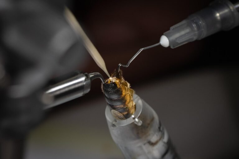 Cadar Queen Fitted MUJI Style: Solusi Ideal Untuk Tidur Yang Lebih Baik