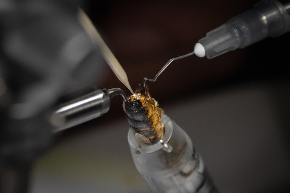 Cadar Queen Fitted MUJI Style: Solusi Ideal Untuk Tidur Yang Lebih Baik