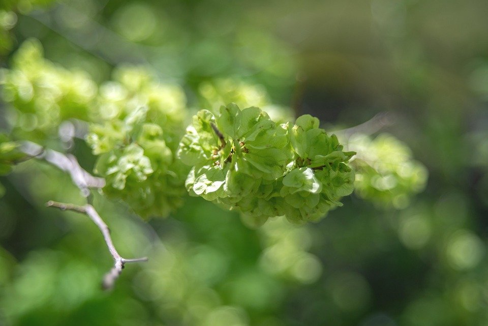 Tilam Angin Camping 5 Lapisan: Mampu Milik