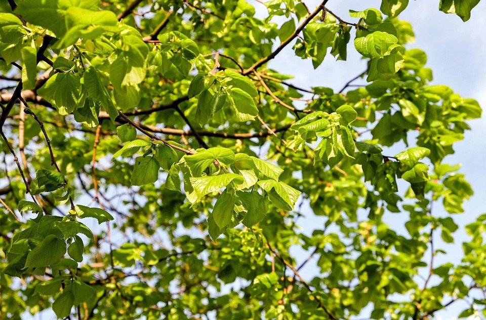 Tilam Angin 5 Lapis WTHB: Kualiti Tidur 5 Bintang Di Mana-mana.