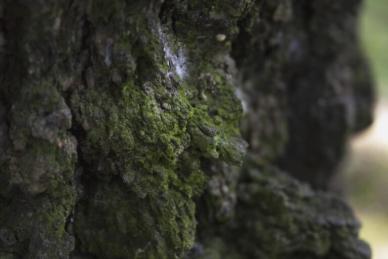 Ulasan PS5 Slim 1TB: Pandangan Detail untuk Pembeli Malaysia.