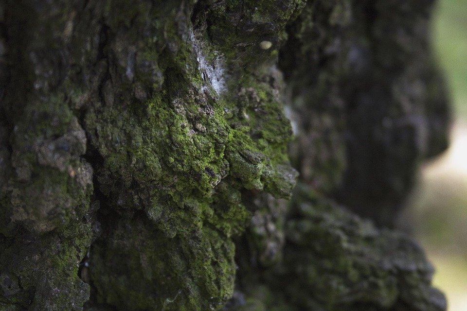 Ulasan PS5 Slim 1TB: Pandangan Detail untuk Pembeli Malaysia.