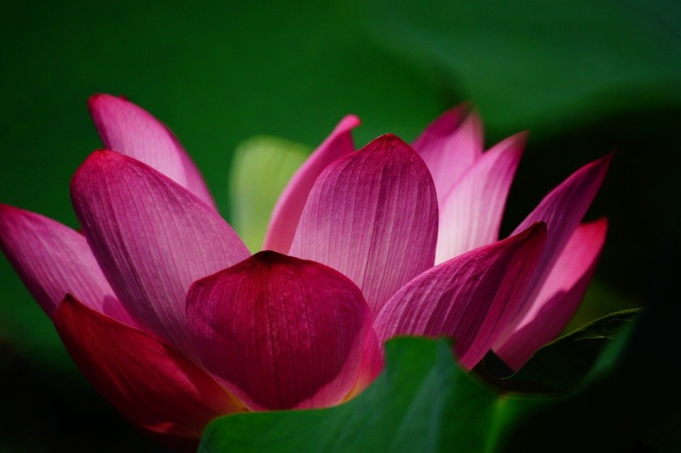 Cergas Setiap Pagi Dengan Tidur YOVONINE