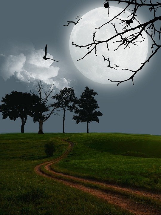 Full Sublimation Jersi: Cetakan Grafik Jelas