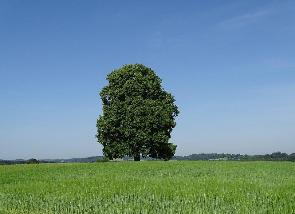 Tilam Angin 40CM WTHB: Ketinggian Idaman Untuk Rehat Terbaik.