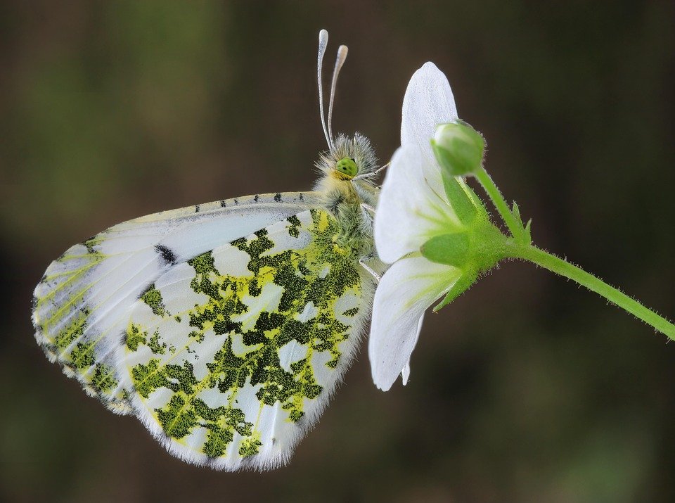 Tips Menjaga Palet FOCALLURE Agar Tetap Bersih & Higienis.