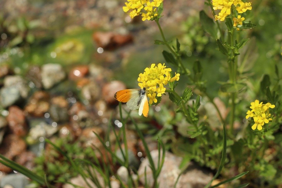 Tips Mekap Flawless untuk Pengantin dengan Glad2Glow Full Coverage Cushion.