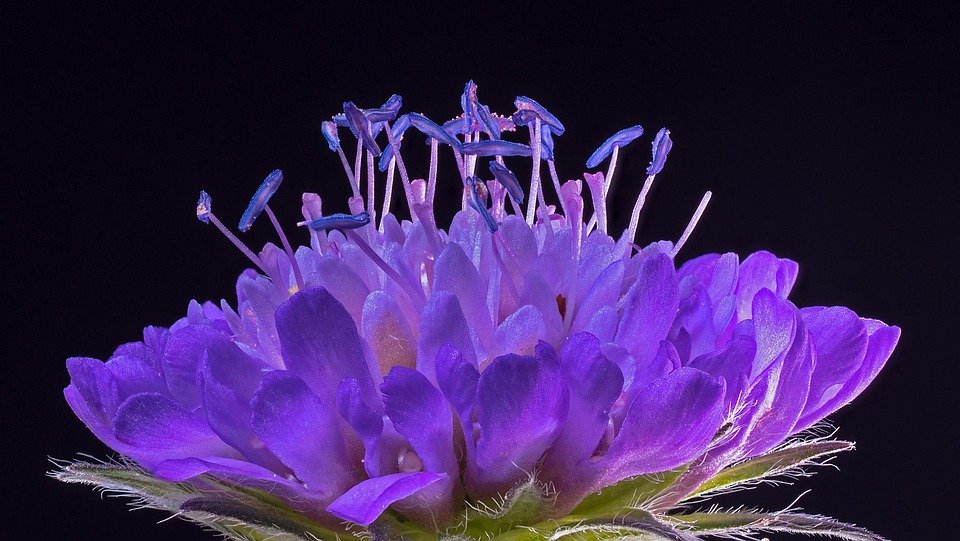 Glad2Glow Cushion: Bedak Asas yang Bikin Anda Tampil Lebih Confident.