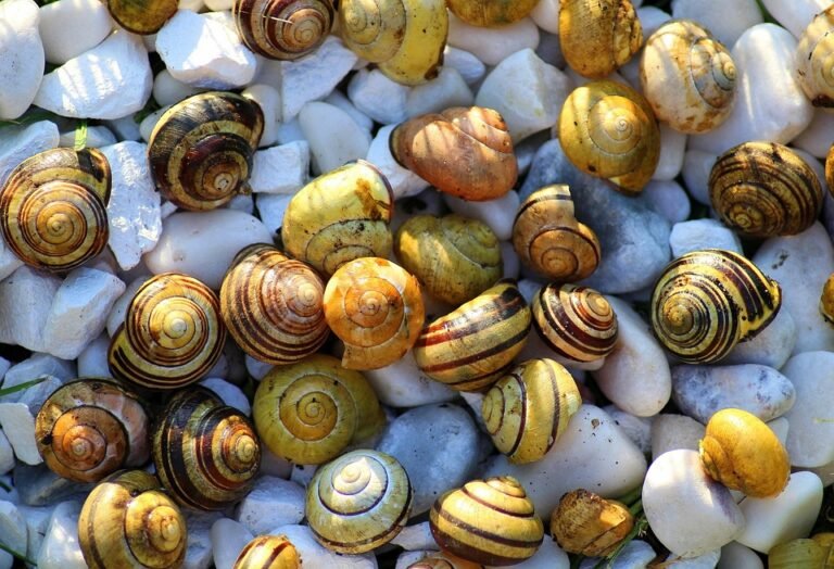 Set Cadar Queen Paling Berbaloi: Review Lengkap Gaya MUJI 4in1 Ini