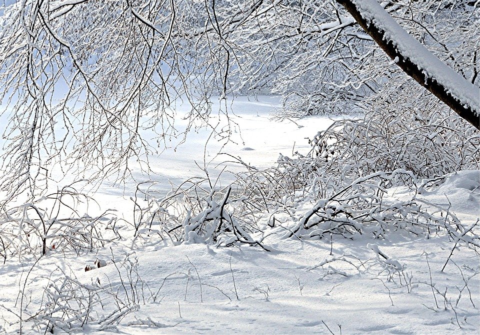 Kasut Pure Black: Pilihan Fesyen Yang Praktikal