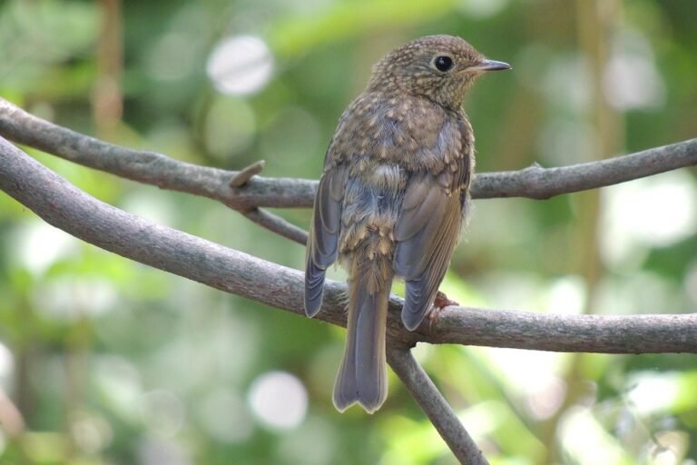 Kingston DataTraveler 100 G3: Mengapa Ia Top Pick Tahun Ini?