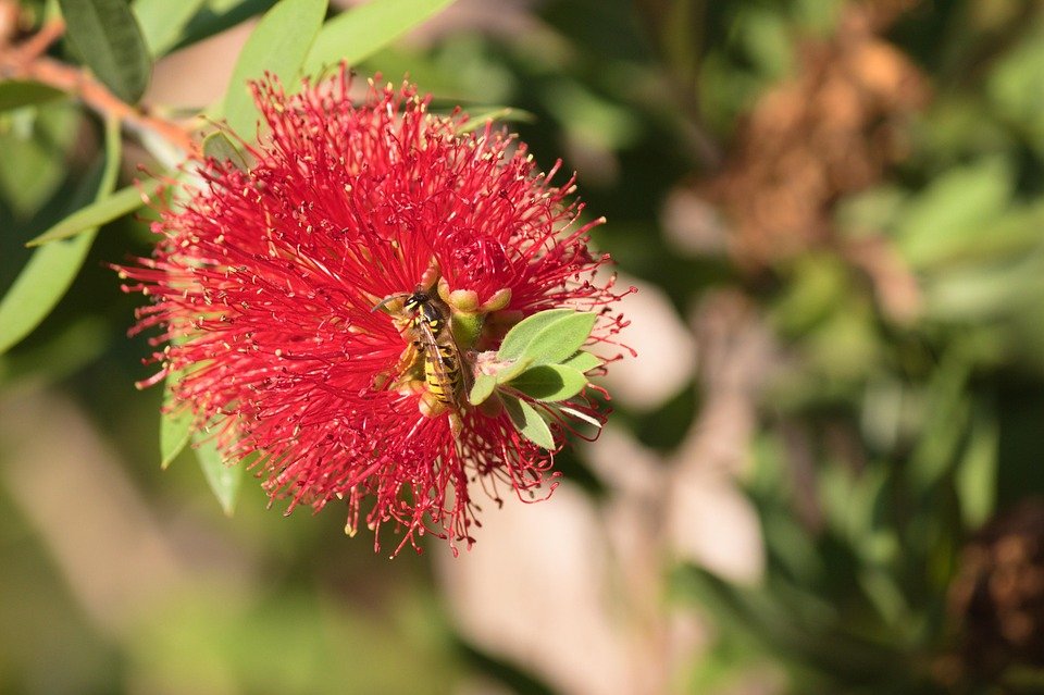 Mengapa PS5 Slim Adalah Konsol Pilihan Anda.