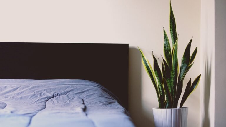 Bedsheet B.S.B Single Moden Dan Cantik Untuk Dekorasi Bilik Anda.