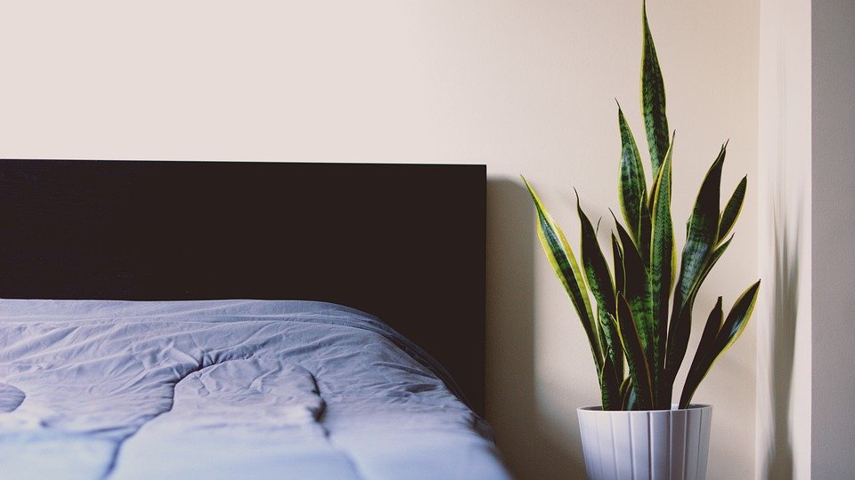 Bedsheet B.S.B Single Moden Dan Cantik Untuk Dekorasi Bilik Anda.