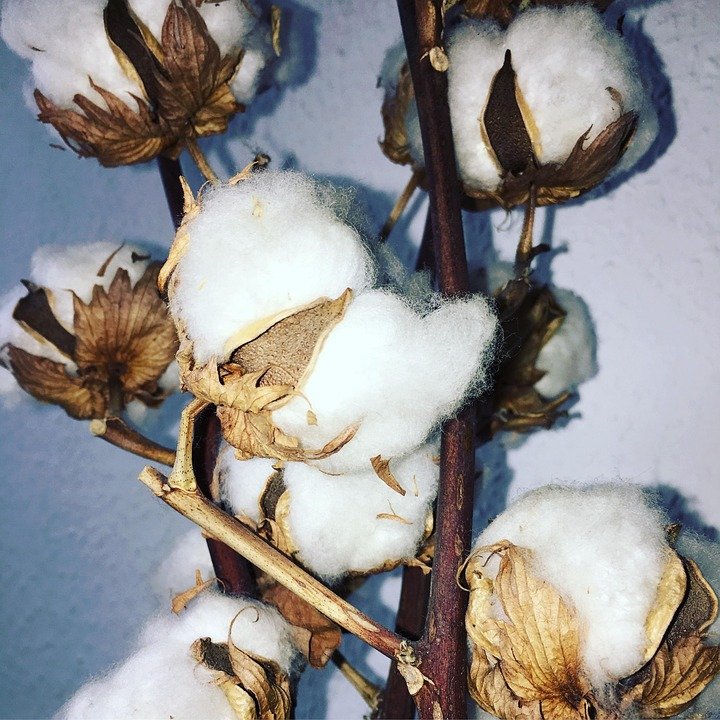 Palazzo Cotton Yang Mudah Disarung