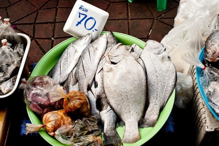 Harga Runtuh Kasut Kerja Kalis Hentaman