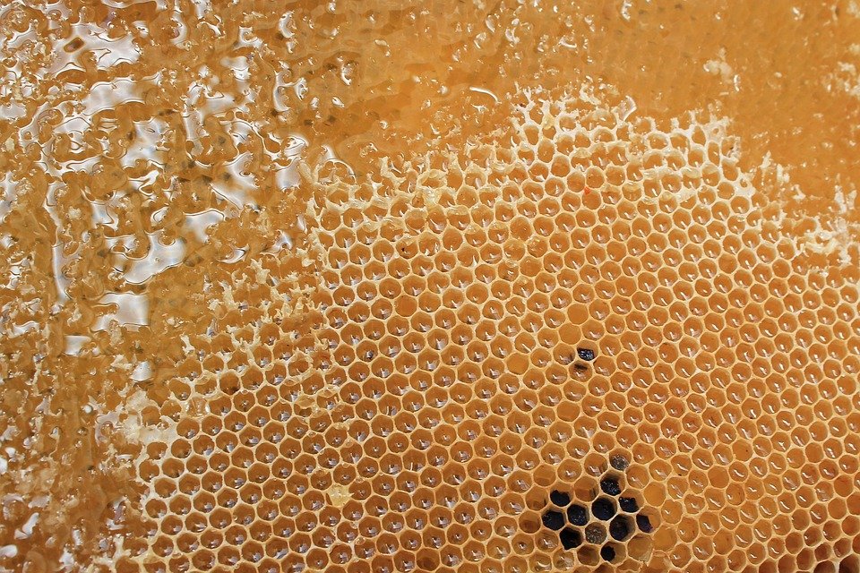 Masaki Honeycomb Wok: Kuali Multifungsi Untuk Segala Jenis Masakan.