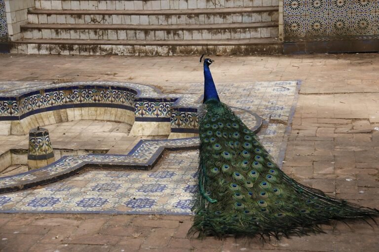 Cadar Queen Gaya MUJI: Sentuhan Elegan Yang Meningkatkan Estetika Bilik Tidur