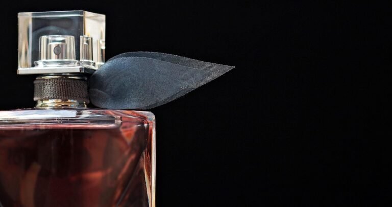 Perfume Paradise 10ML Original: Harga Terbaik Untuk Kualiti Premium